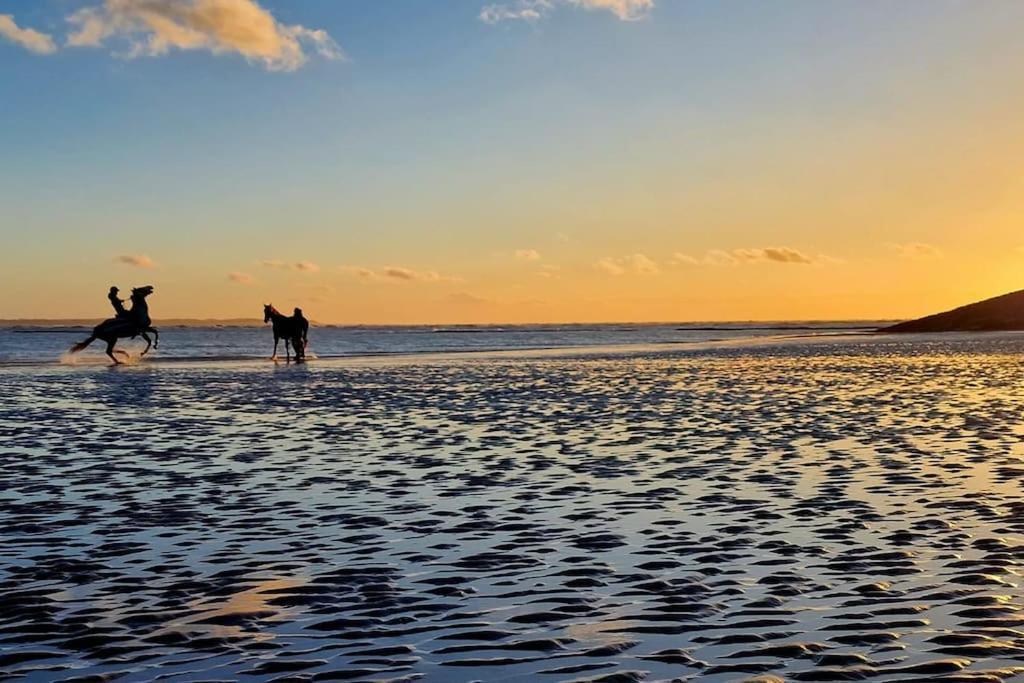Petit Prince Berck Eksteriør bilde